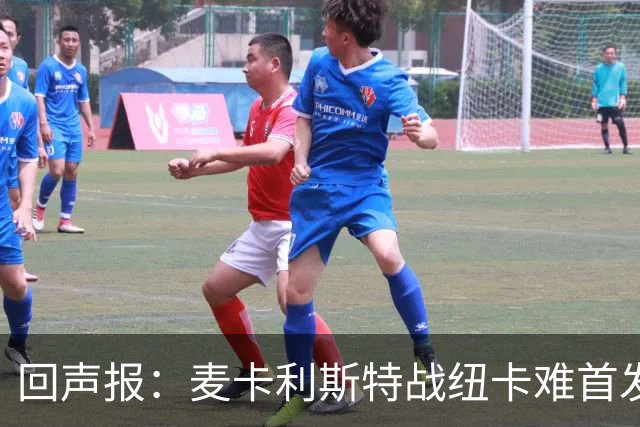 回声报：麦卡利斯特战纽卡难首发，阿劳霍或搭范戴克